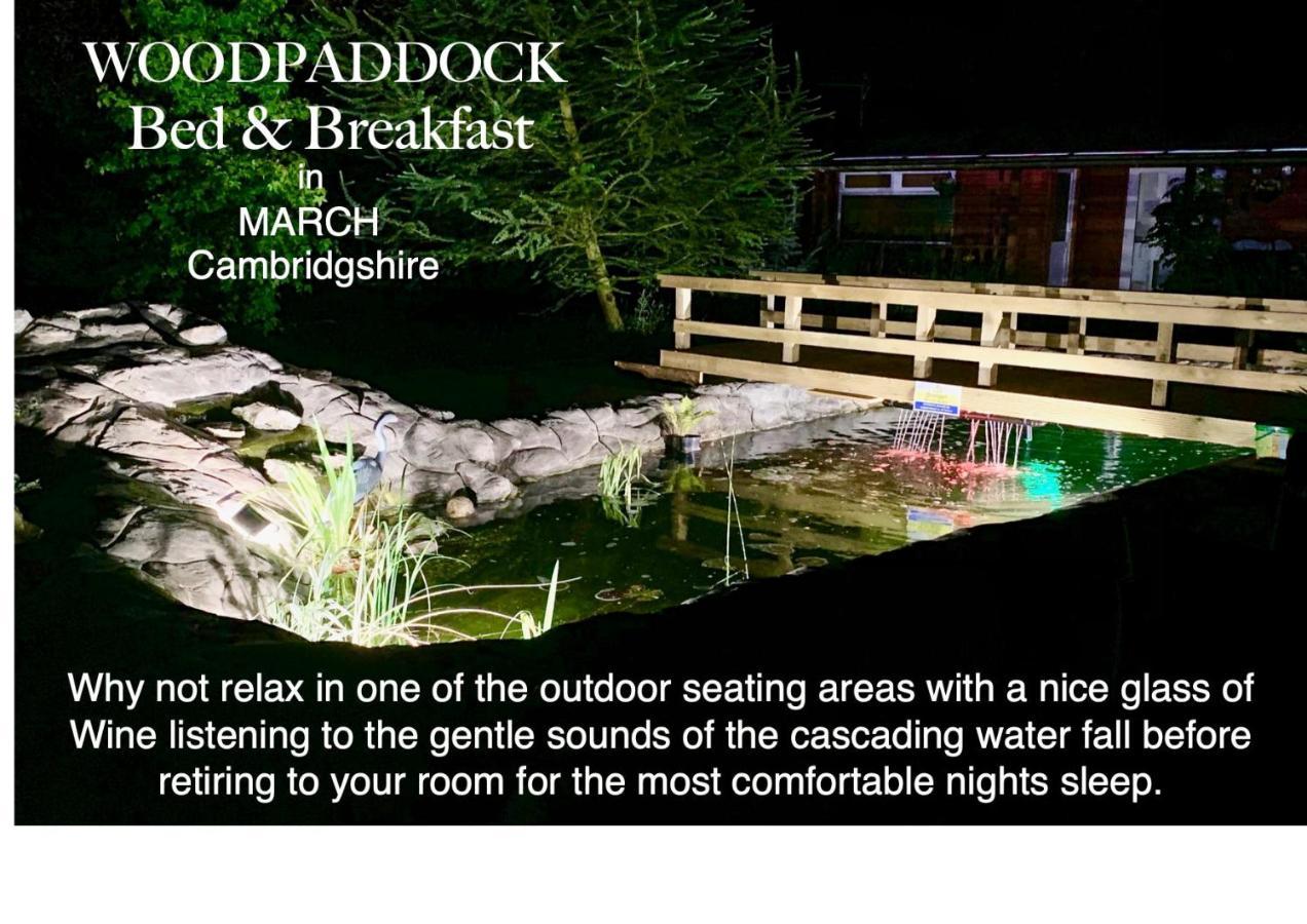 Woodpaddock Bed & Breakfast March Exteriör bild